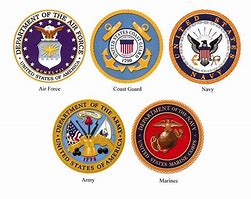 Image result for Different Military Branches