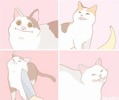 Image result for Cat Meme Drawing