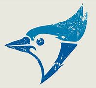 Image result for Vintage Blue Jays Logo