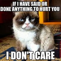 Image result for The Best of Grumpy Cat Memes
