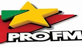 Image result for Profi FM Logo