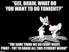 Image result for +Pinky and the Brain Sleepy MEMS