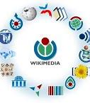 Image result for Wikipédia Mêmes