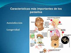 Image result for Autoinfeccion