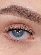 Image result for Ardell Magnetic Lashes