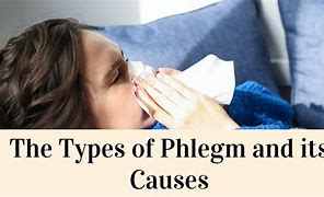 Image result for Types of Phlegm