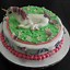 Image result for cool unicorns cakes