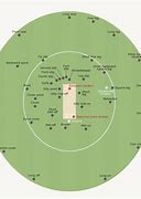 Image result for Picture of a Labeled Cricket Field and Positions