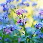 Image result for Spring Pastel Colors