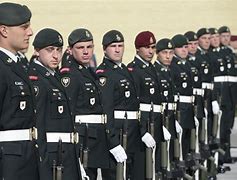 Image result for PPCLI