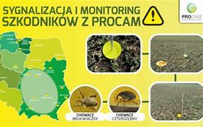 Image result for co_to_za_zawadów