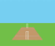 Image result for Cricket Ground with Wicket