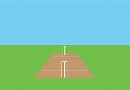 Image result for Cricket Animation