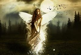 Image result for Angel Screensavers