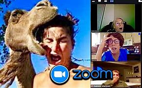 Image result for Zoom Troll