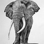 Image result for Pencil Sketch of Animals