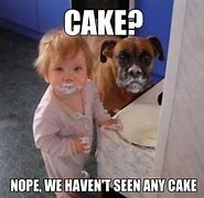 Image result for No Cake Meme