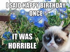 Image result for Grumpy Cat Happy Birthday Song