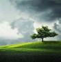 Image result for 4K Wallpaper HDR Peaceful Green Nature