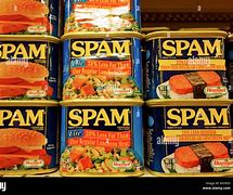 Image result for Spam Meat Can