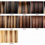 Image result for Hair Color Chart