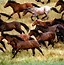 Image result for 2 Horses Running