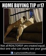 Image result for Animal Real Estate Memes
