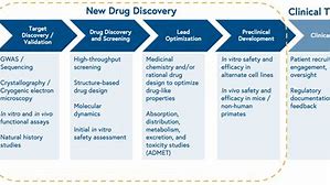 Image result for Toxicology Process in Drug Research and Discovery