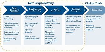 Image result for Drug Discovery Process Notes