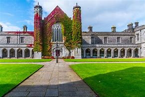 Image result for Irish Universities