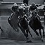 Image result for Horse Racing Wallpaper iPhone