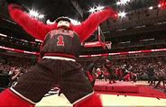 Image result for Chicago Bulls Mascot Logo