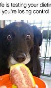 Image result for Dog Eating Food Meme