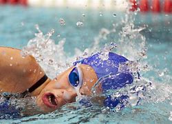 Image result for Swimming Sport