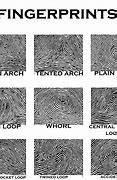 Image result for Find My Fingerprint