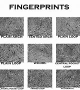 Image result for Your Fingerprints