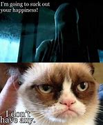 Image result for Grumpy Cat Harry Potter Memes