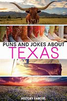Image result for Texas Humor