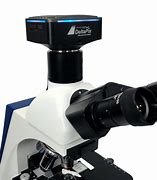 Image result for HDMI Microscope Camera