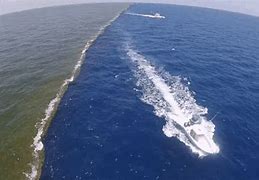 Image result for Drifting in the Ocean All Alone Meme