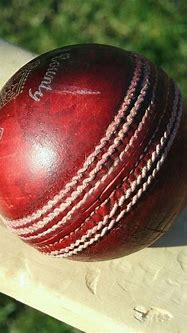 Image result for Cricket Bat On Grass