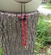 Image result for Bungee Cords for Plants