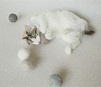 Image result for Catnip Felt Cat Ball