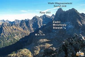 Image result for co_to_za_zadni_mnichowy_stawek