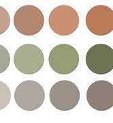 Image result for Neutral Nature Color Palette