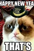 Image result for New Year's Cat Meme