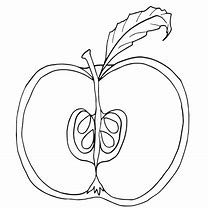 Image result for Parts of an Apple Coloring Page
