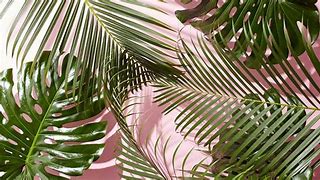 Image result for Rose Gold Pink Wallpapers Don't Touch My Laptop