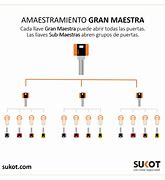 Image result for amqestramiento