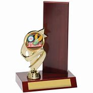 Image result for Perpetual Trophy